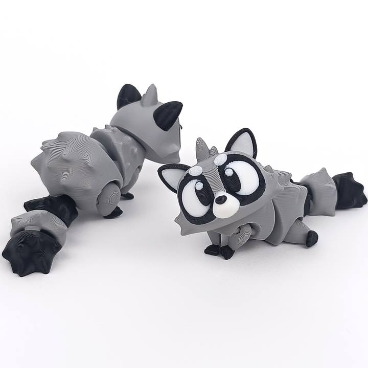 Raccoon Pocket Pal