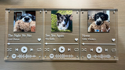 Personalised Spotify Plaque