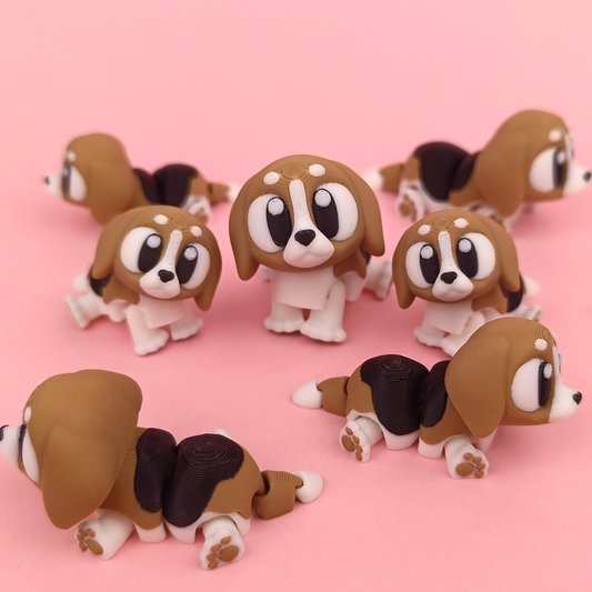 Beagle Pocket Pal