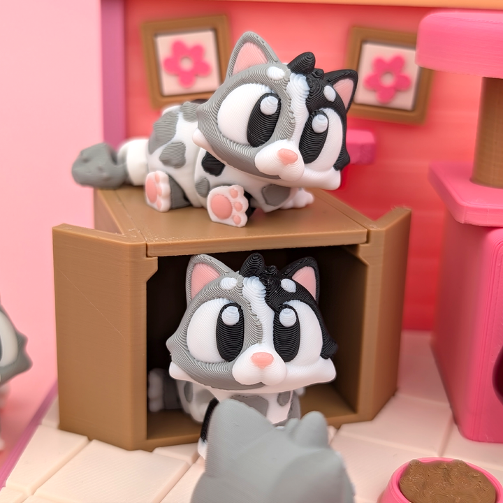 Cat Pocket Pal
