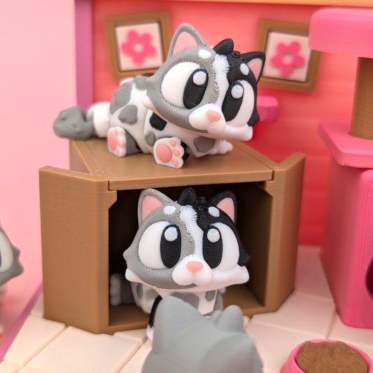 Cat Pocket Pal