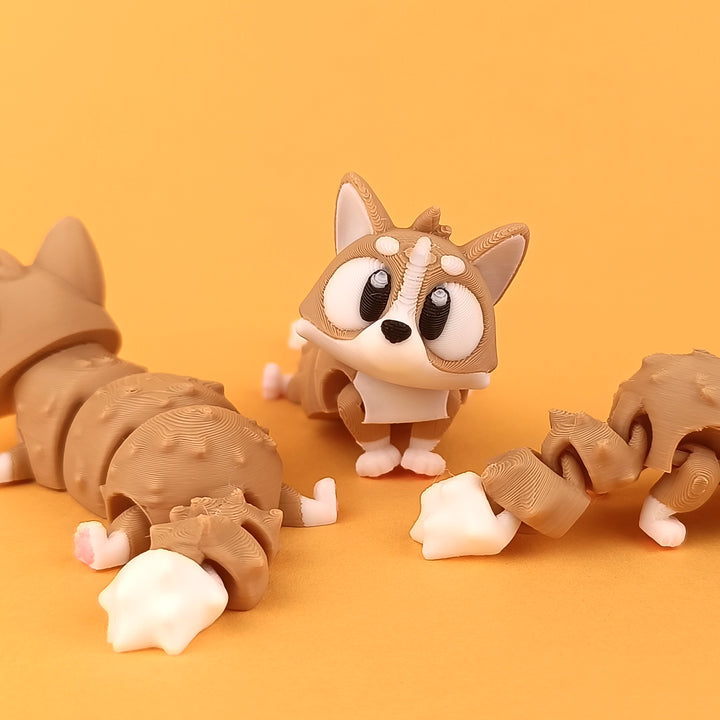 Corgi Pocket Pal