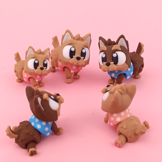 Yorkshire Terrier Pocket Pal
